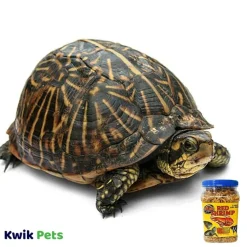 Zoo Med Sun-Dried Large Red Shrimp Reptile Food 10-oz