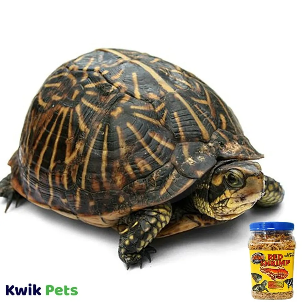 Zoo Med Sun-Dried Large Red Shrimp Reptile Food 10-oz