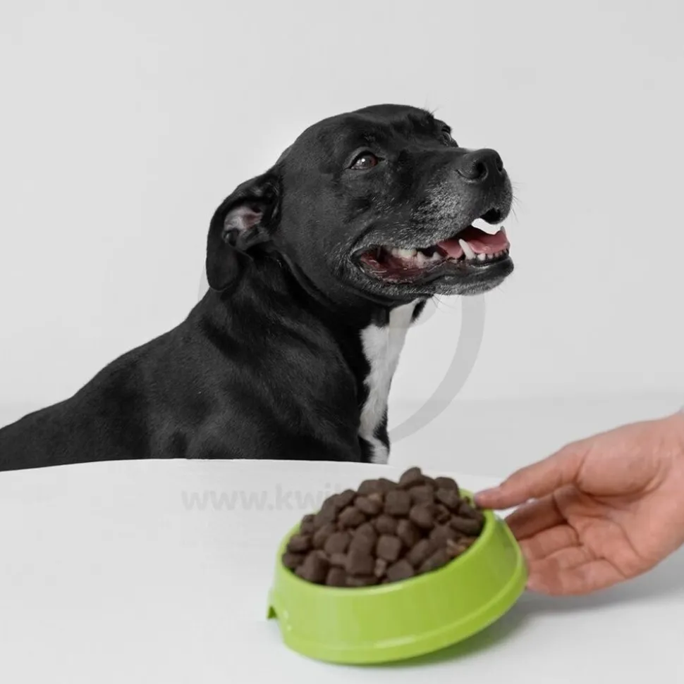 Zuke's Lil Links Soft & Chewy Dog Treats Rabbit & Apple Recipe 6-oz
