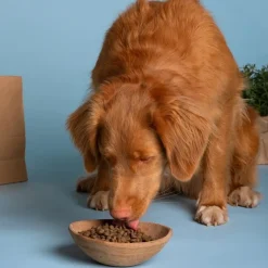 Zuke's Lil Links Soft & Chewy Dog Treats Pork & Apple Recipe 6-oz